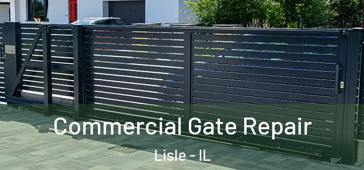 Commercial Gate Repair Lisle - IL