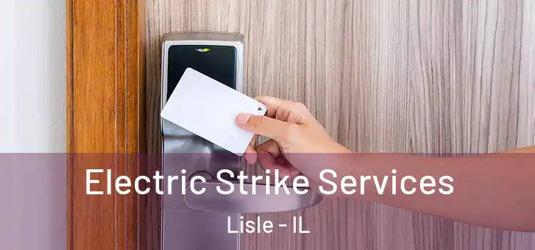  Electric Strike Services Lisle - IL