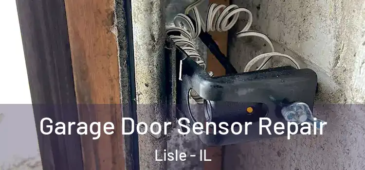 Garage Door Sensor Repair Lisle - IL