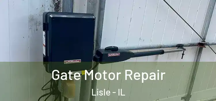 Gate Motor Repair Lisle - IL