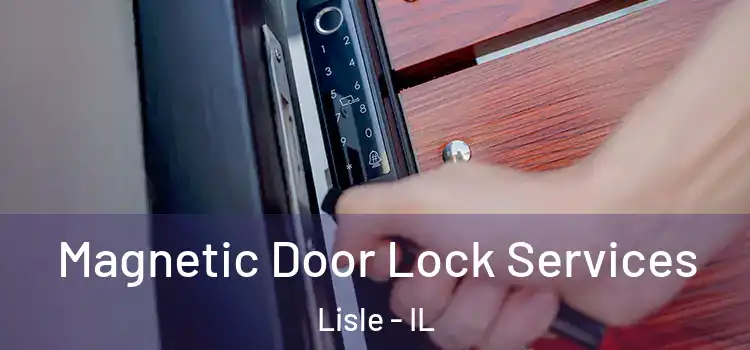 Magnetic Door Lock Services Lisle - IL